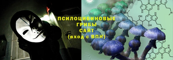 тгк Беломорск