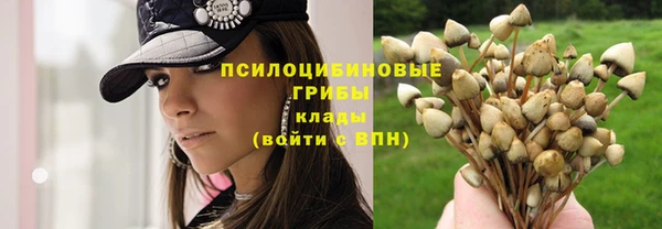 стафф Гусиноозёрск