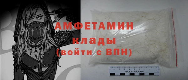 гидра Белоозёрский