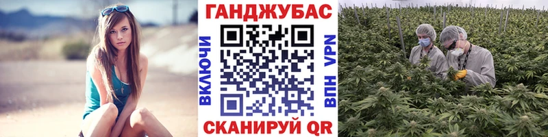 Каннабис Amnesia Семилуки