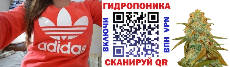 Бошки Шишки гибрид Семилуки